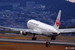 新しい時代へ・飛翔