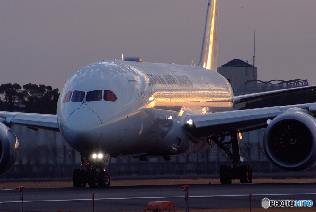 新しい朝✈Boeing 787-8 Dreamliner
