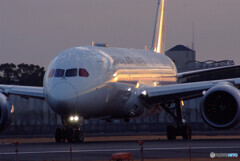 新しい朝✈Boeing 787-8 Dreamliner