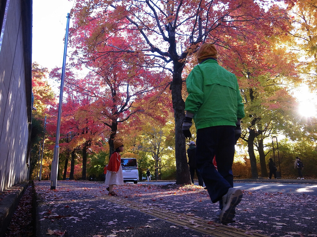 それぞれの紅葉✿三色彩道2025