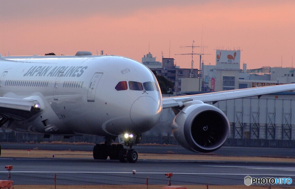Beautiful MemoriesⅨ✈JAL Dreamliner