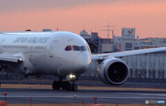 Beautiful MemoriesⅨ✈JAL Dreamliner