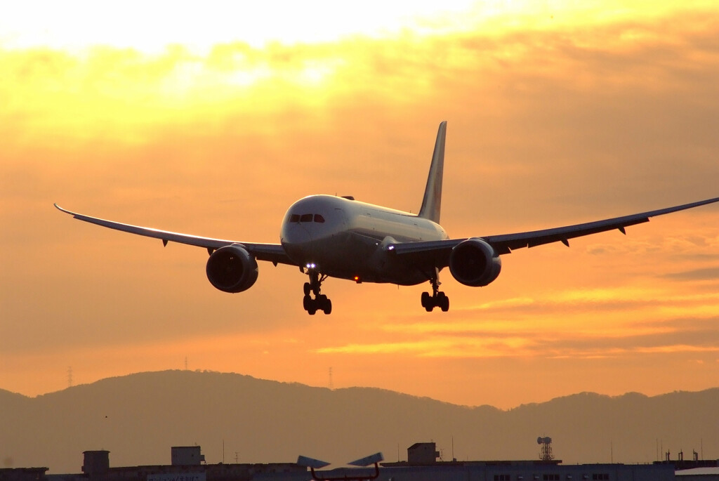 Eternal Brilliance✈Boeing787