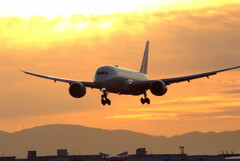 Eternal Brilliance✈Boeing787