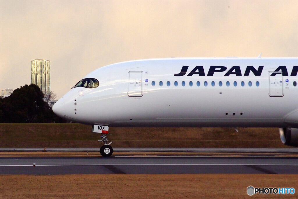 それぞれの旅路へⅣ✈A350-900