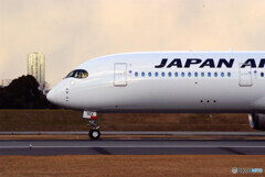 それぞれの旅路へⅣ✈A350-900