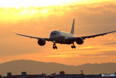 Morning Shower2022✈HARADA
