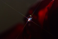 初春月の宴✿雫