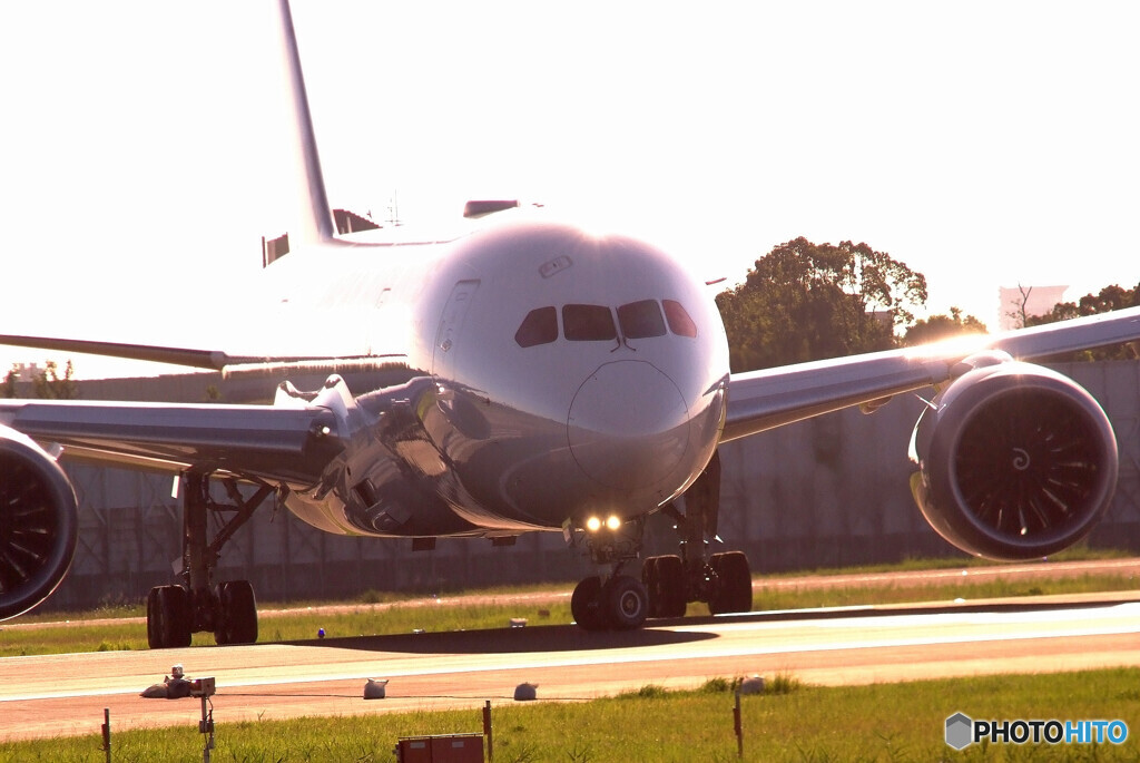 September Lights✈HARADA