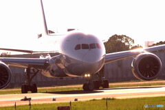 September Lights✈HARADA