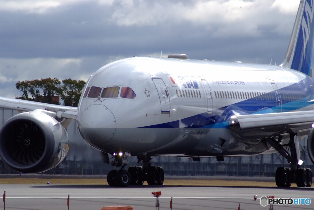 March morningⅡ✈JA818A