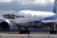 March morningⅡ✈JA818A