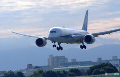 Sky in September✈787