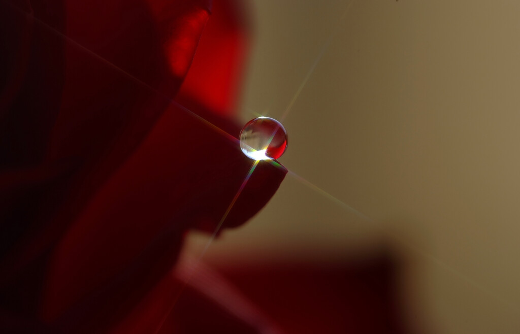 心の十字架✿泰月