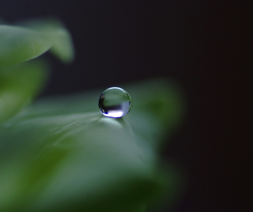 漆黒の雫・2014秋