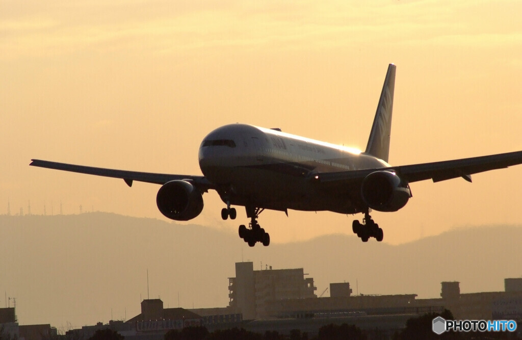 HARADAの朝✈Boeing 777-200