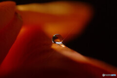 永遠の十字架・雫