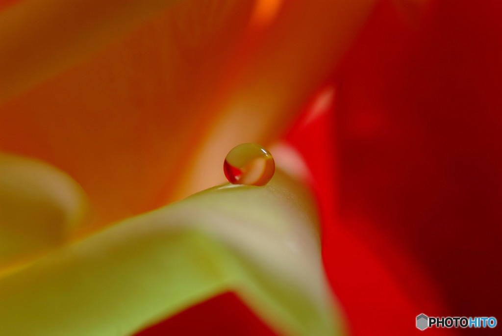 Drop of Tears