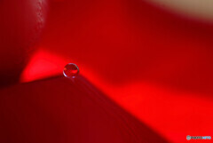 君の瞳に恋してる❁想