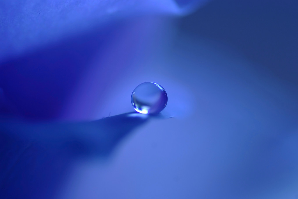 蒼の残像・雫