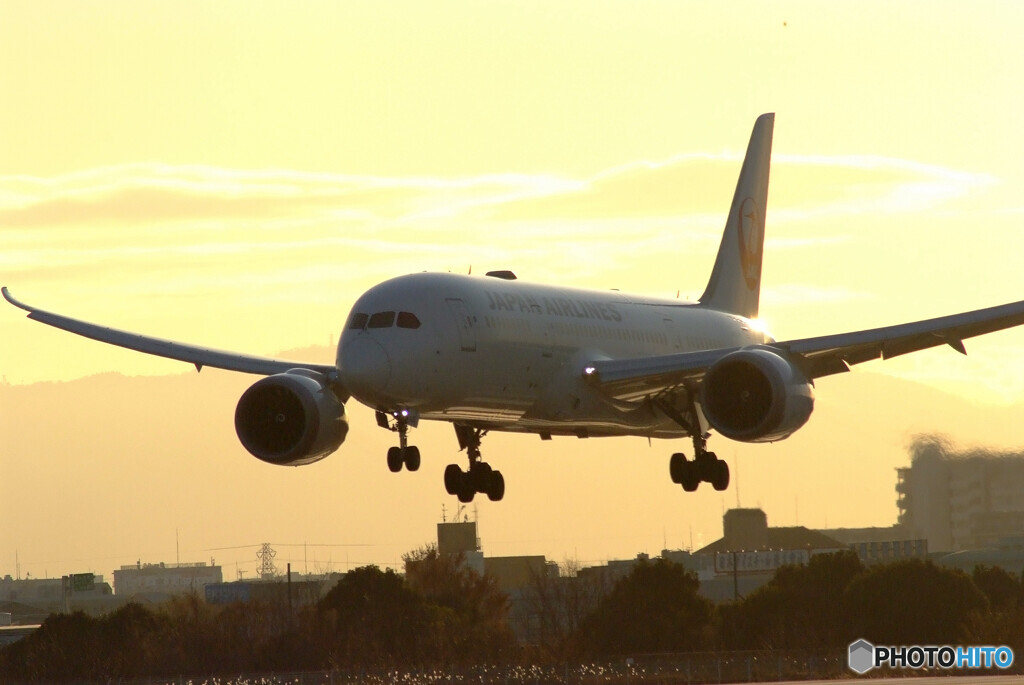 December 23rd✈Boeing 787-8