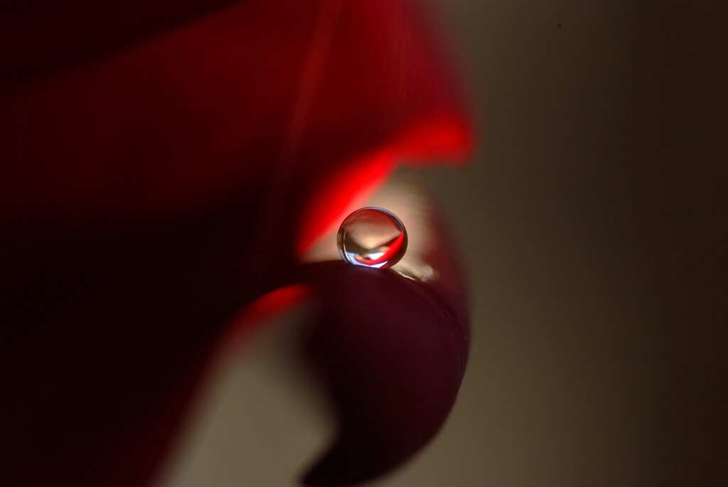 永遠の輝き✿瞳