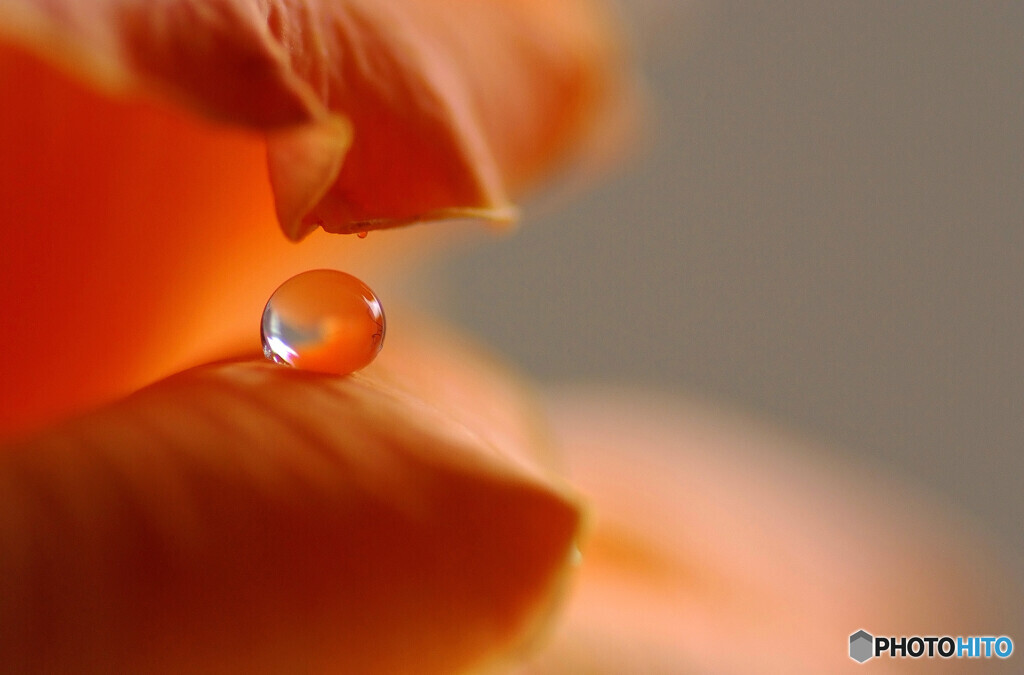 永遠の祈り❁雫