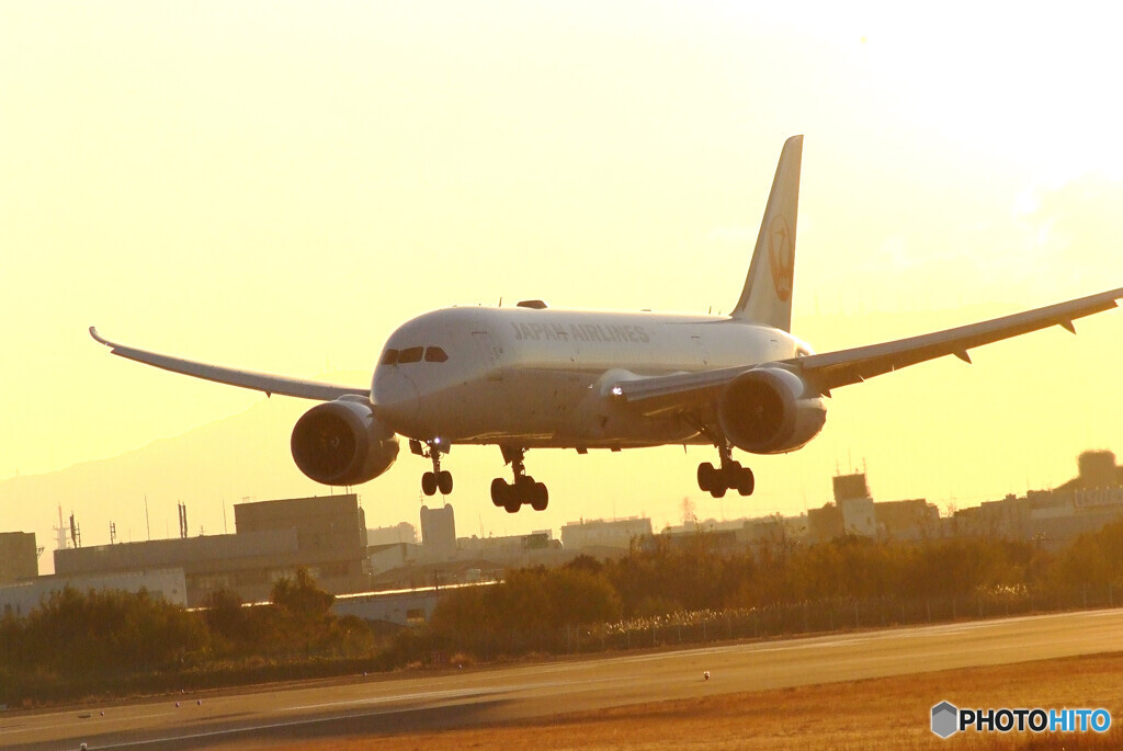 希望の灯✈Boeing787-8