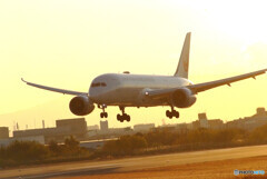 希望の灯✈Boeing787-8
