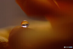 誘惑の瞳❁しずく