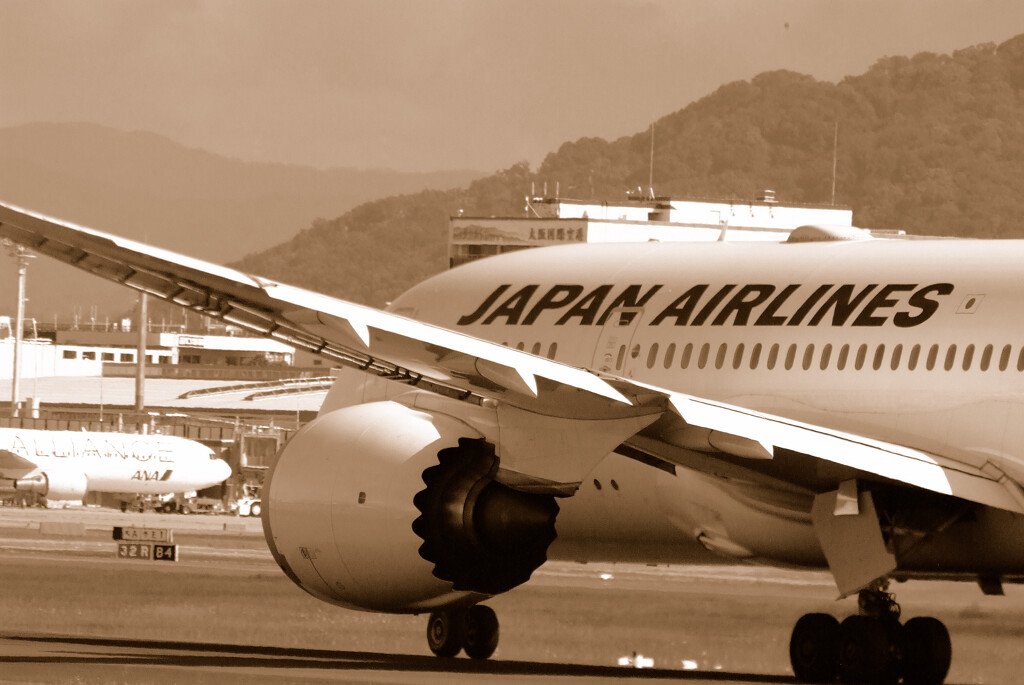 8月の翼✈ Dreamliner