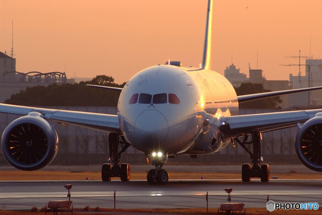 それぞれの旅路へ✈Dreamliner