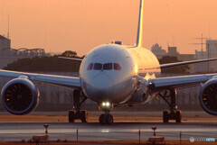 それぞれの旅路へ✈Dreamliner