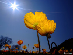 ふたりならきっと・春