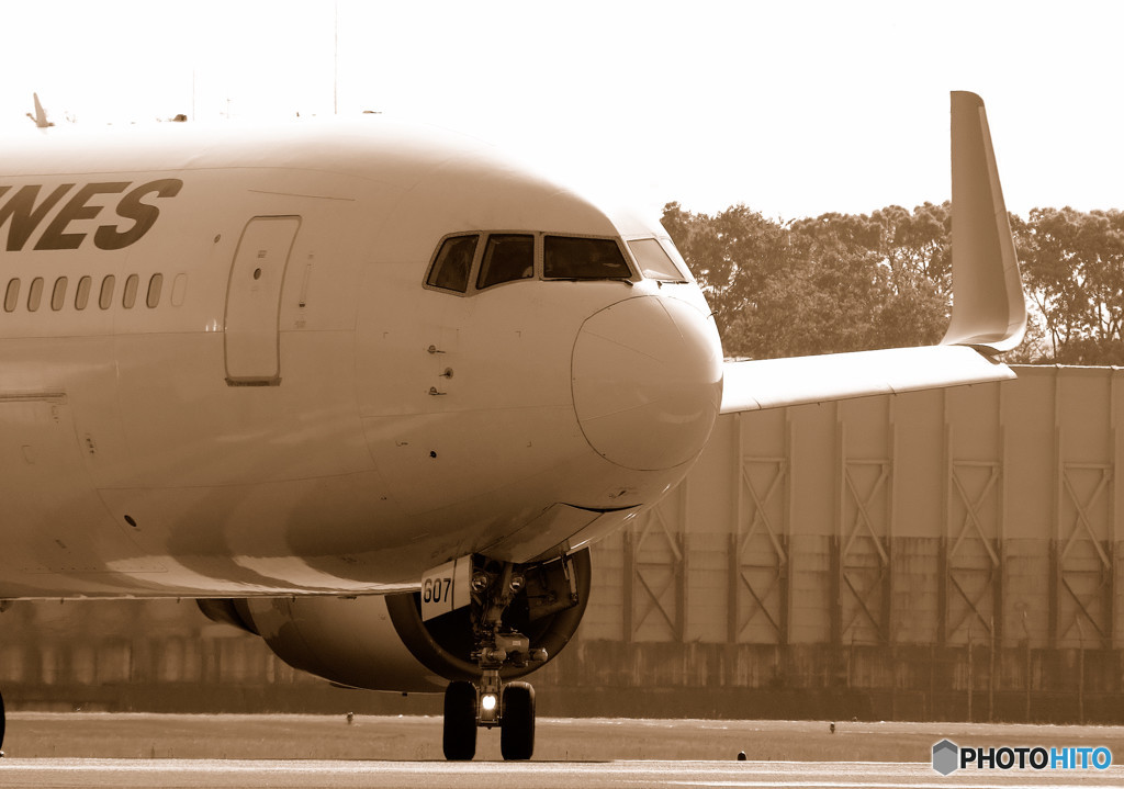 Morning ShowⅧ・767