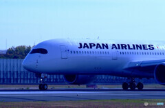 蒼の世界へⅧ✈JA08XJ