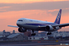 色彩々HARADA✈Boeing 767