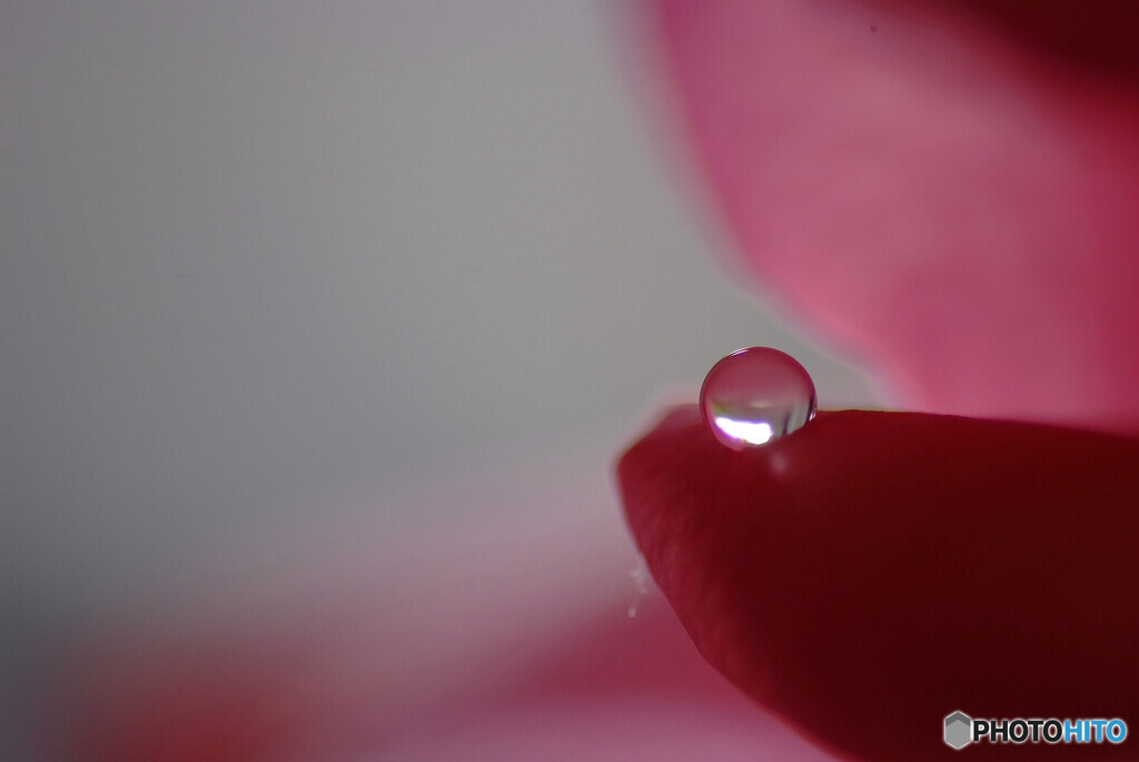 新しい時代へ✾心静かに