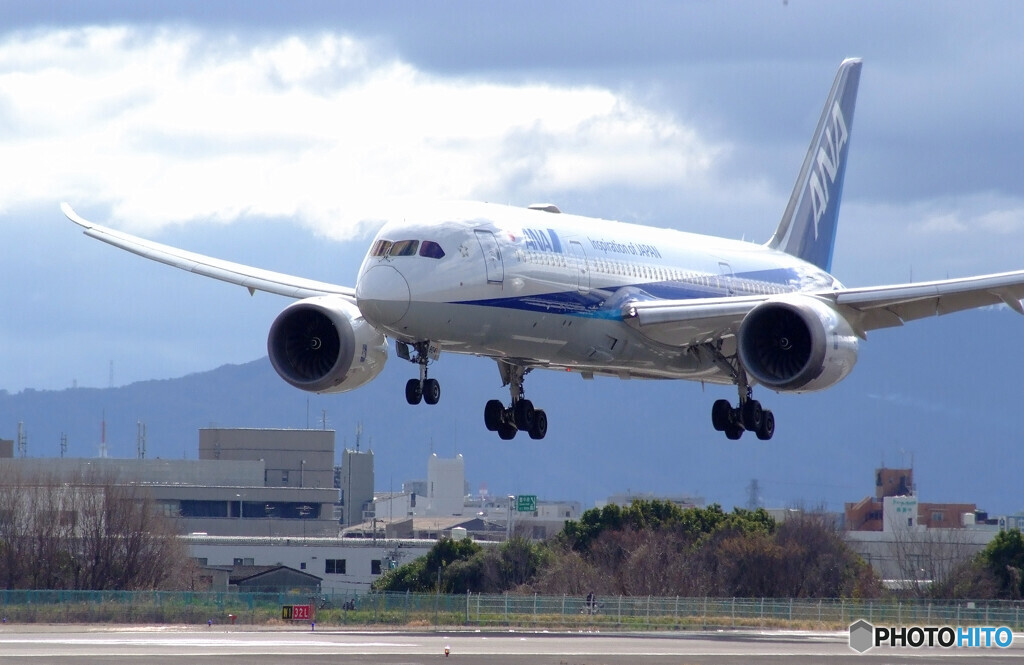 弥生の青空✈787-8 Dreamliner 