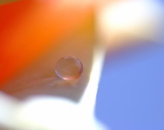 愛しき惑星・雫（Ⅳ）