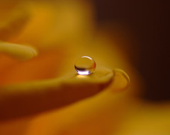 想い玉・雫（Ⅱ）