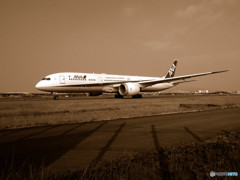 夏旅へⅢ・JA830A