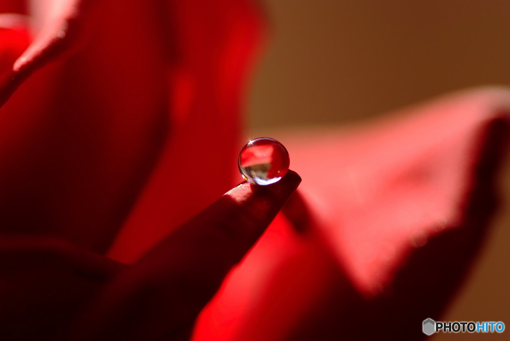 赤い神秘・雫