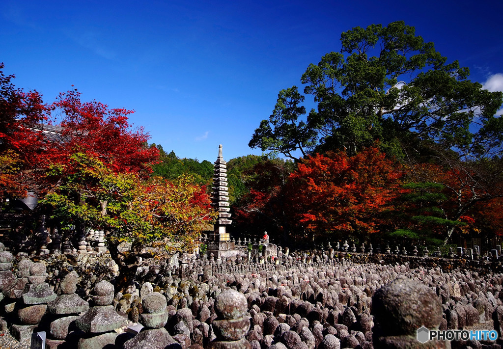 秋日和の念仏寺にて
