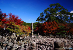 秋日和の念仏寺にて