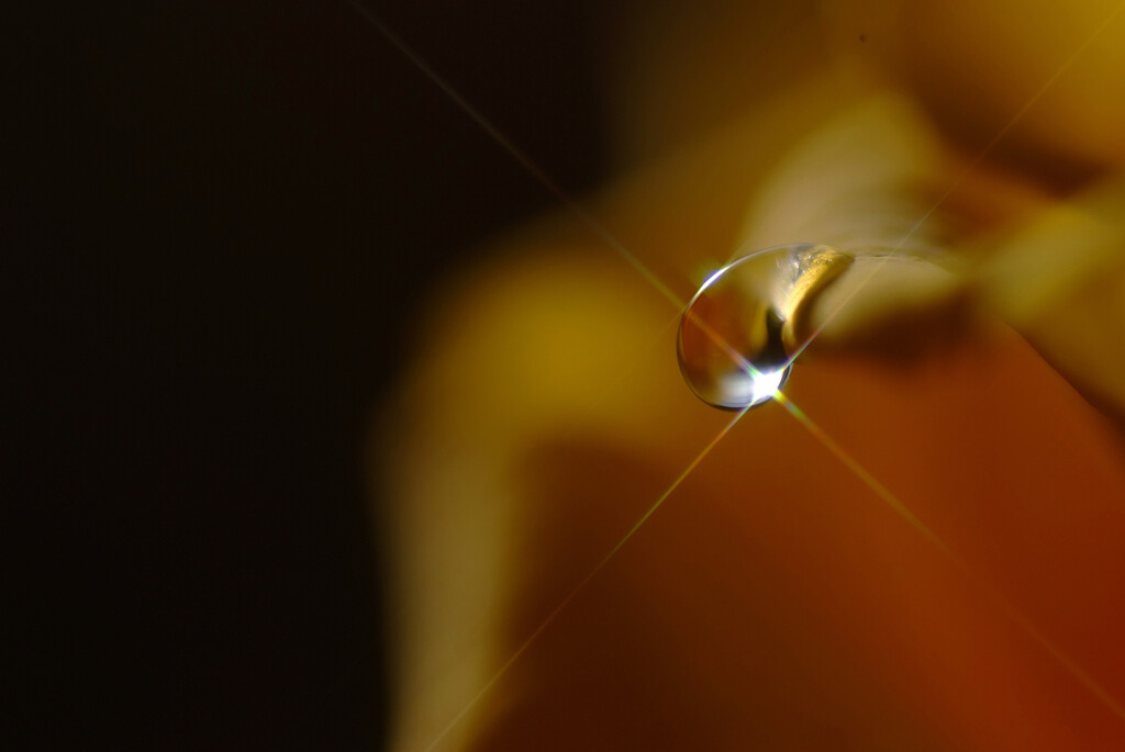 Falling tears♩睦月の朝