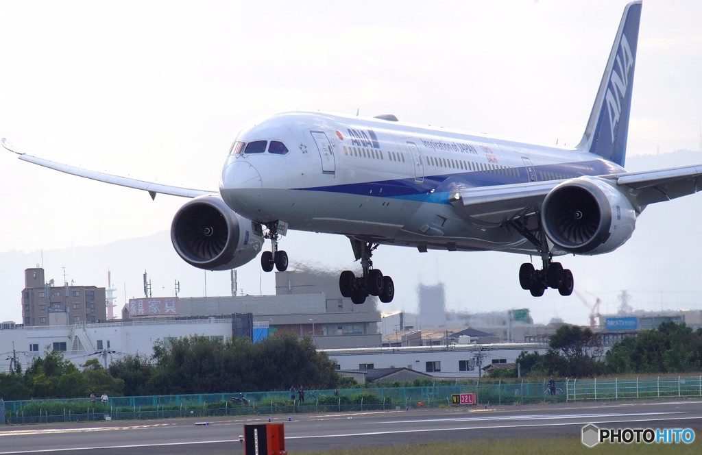 秋旅Ⅹ・飛行機に乗って