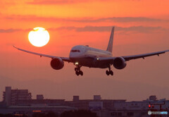 Brand New Year✈2020
