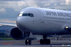 April Afternoon★Boeing 767