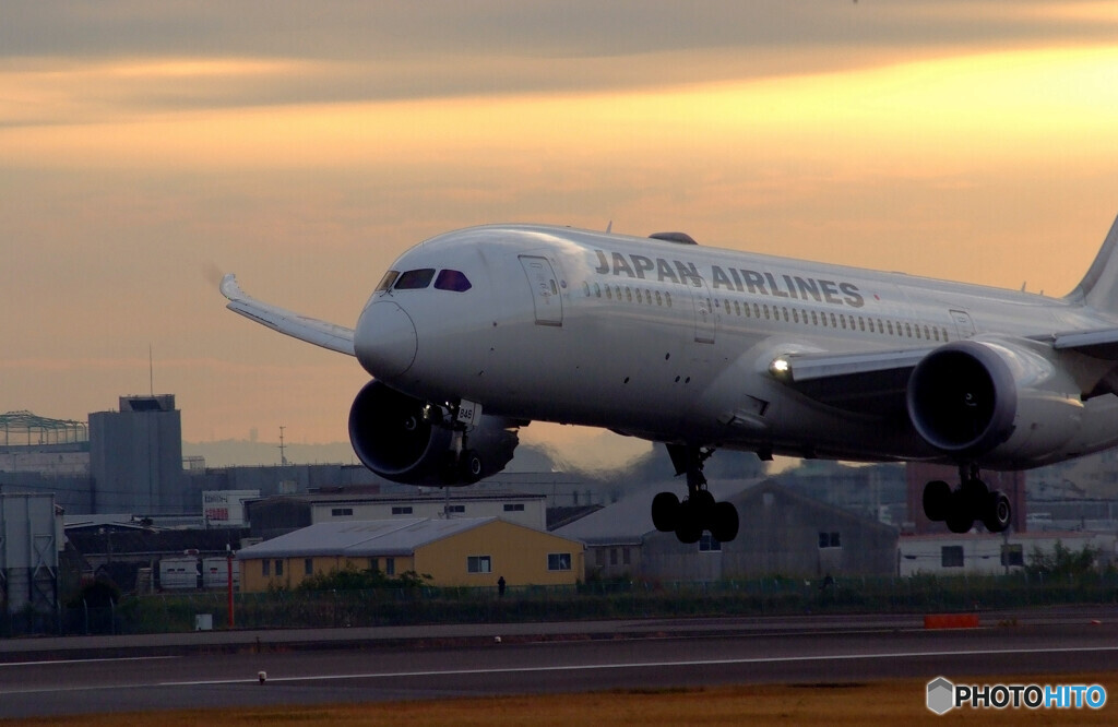 November MorningⅣ✈Boeing787-8